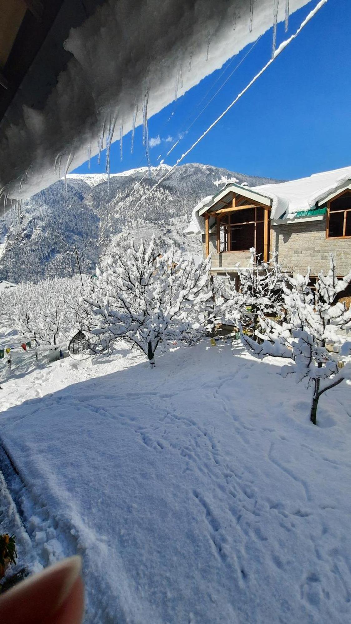 The Hideout - Hiraeth Hostel มะนาลี ภายนอก รูปภาพ