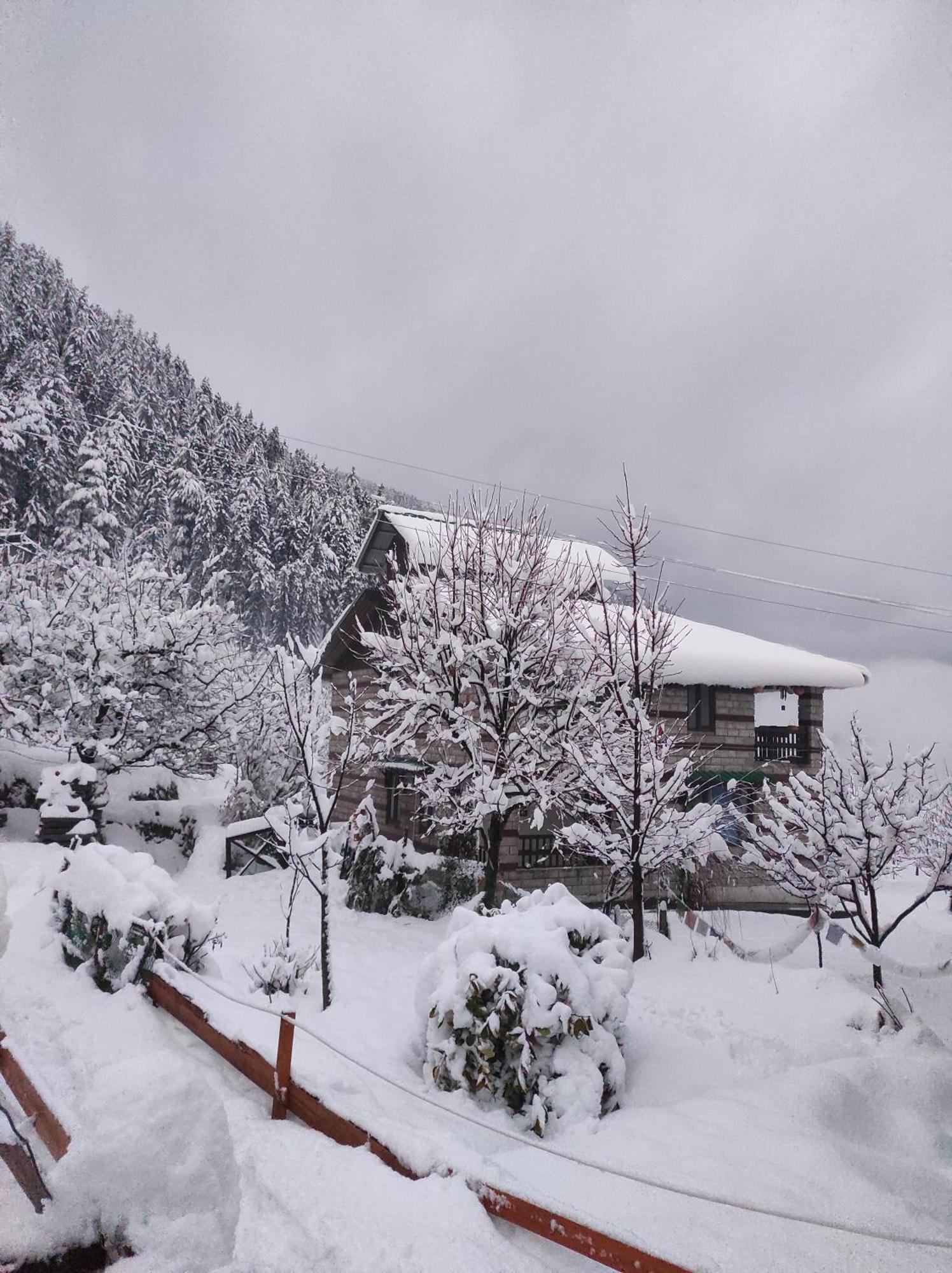 The Hideout - Hiraeth Hostel มะนาลี ภายนอก รูปภาพ