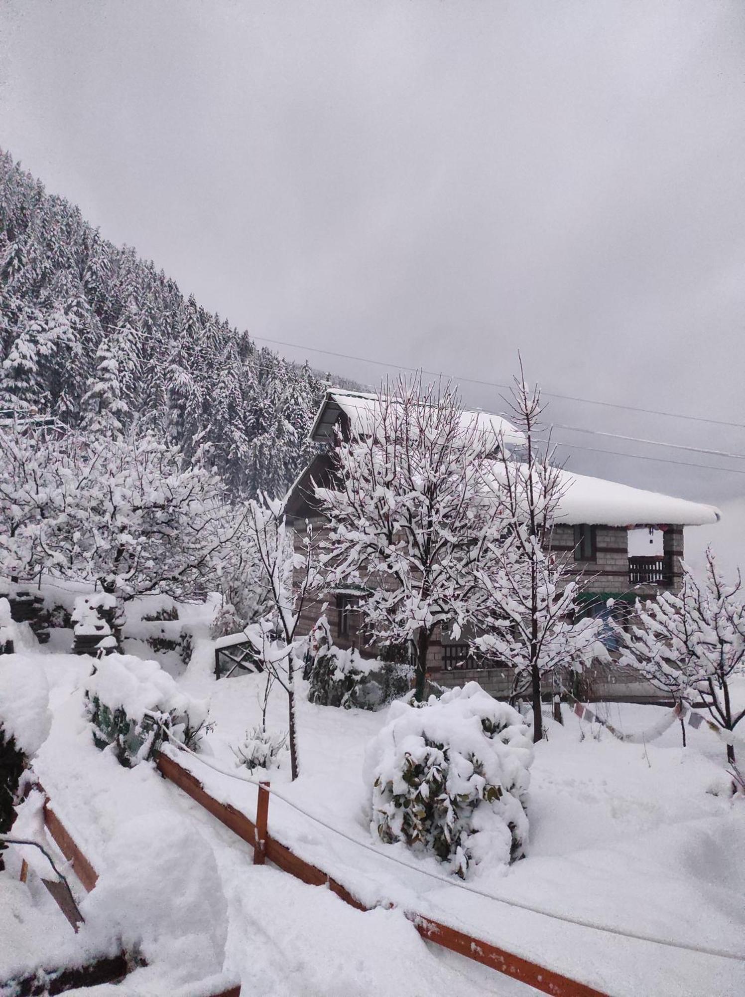 The Hideout - Hiraeth Hostel มะนาลี ภายนอก รูปภาพ