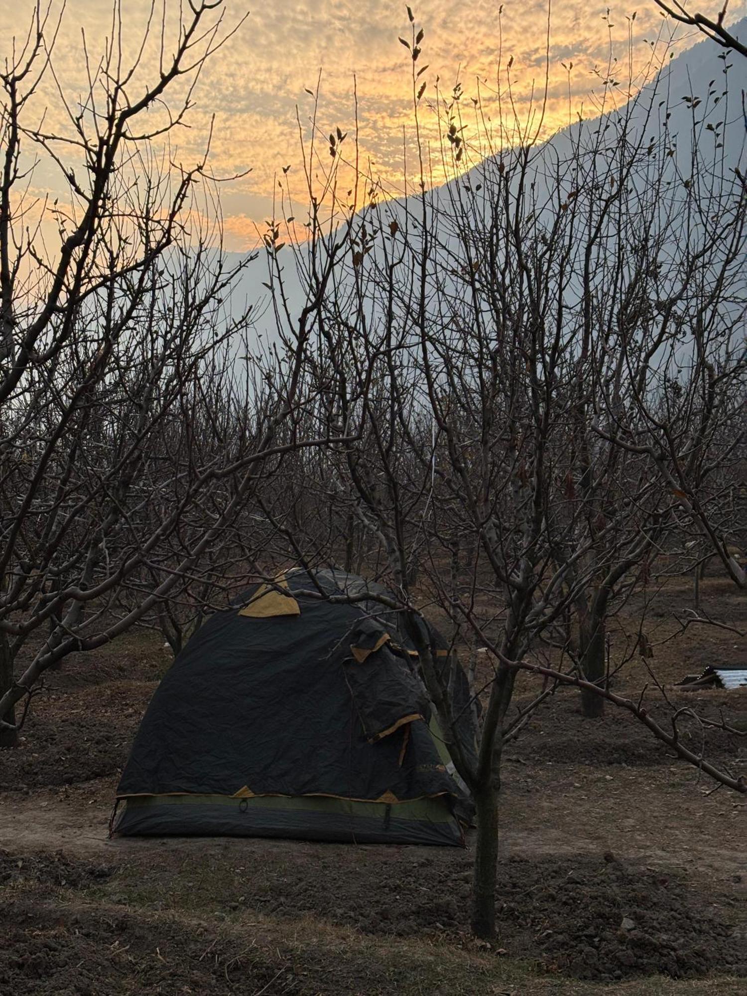 The Hideout - Hiraeth Hostel มะนาลี ภายนอก รูปภาพ