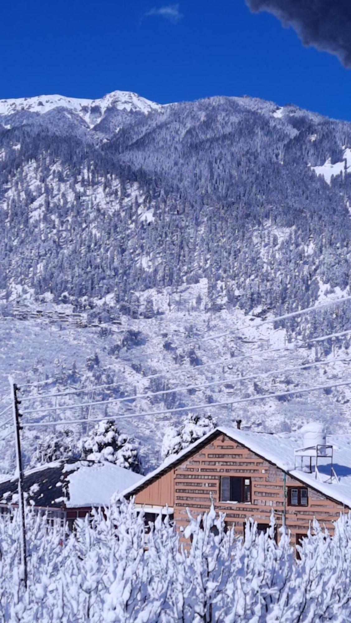 The Hideout - Hiraeth Hostel มะนาลี ภายนอก รูปภาพ