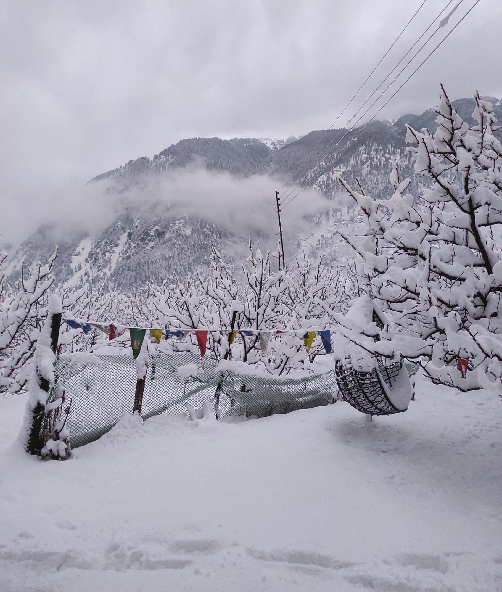The Hideout - Hiraeth Hostel มะนาลี ภายนอก รูปภาพ